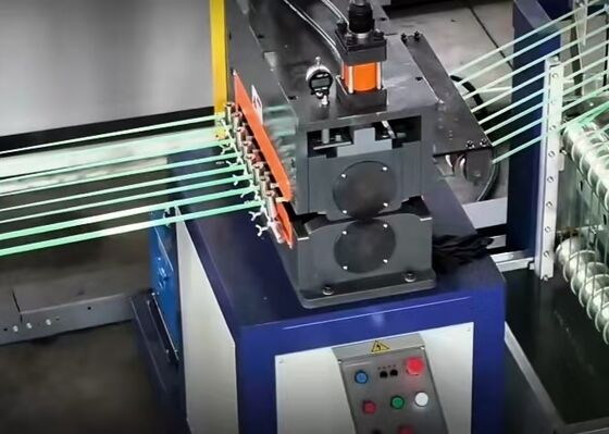 Ligne de production de feuillard pour animaux de compagnie durable et économe en énergie, avancée